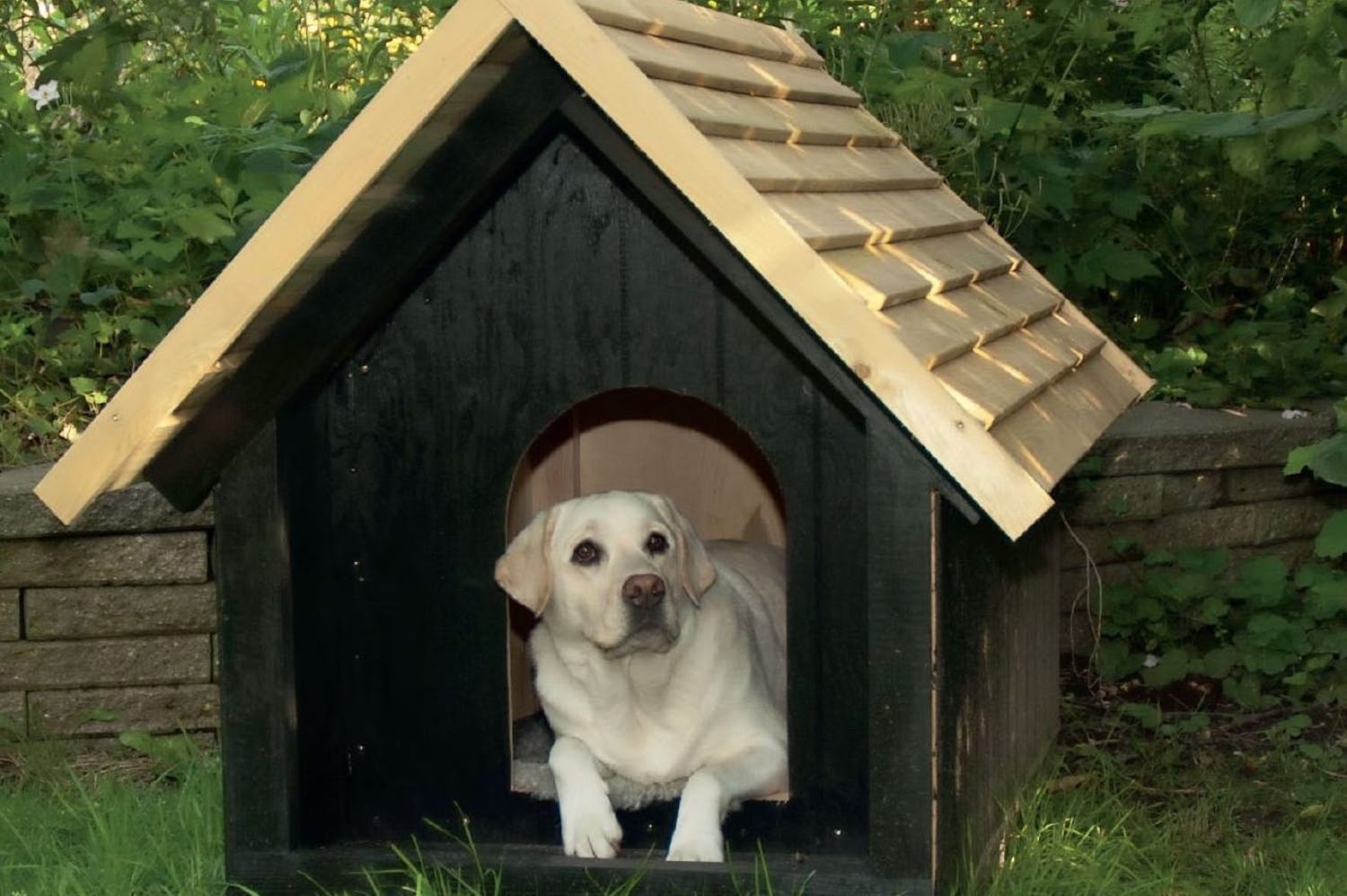 Hundehus isolert Hundehus isolert
